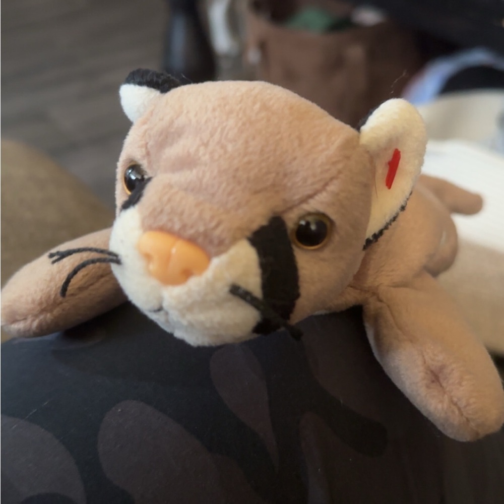 Ty 1998 CANYON no tag